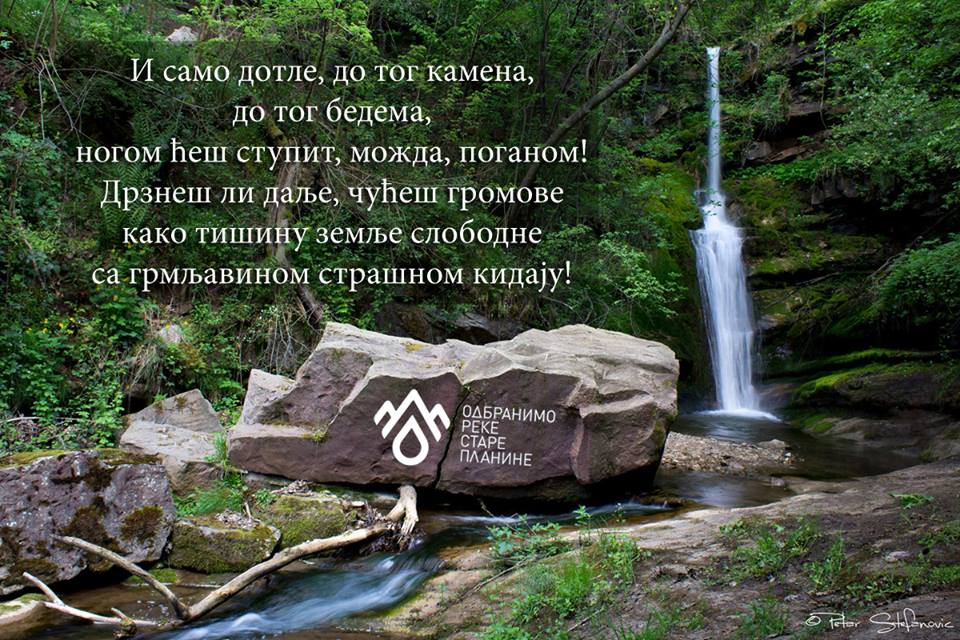 Podr%C5%A1ka-Goran-Tokic-Goci.jpg