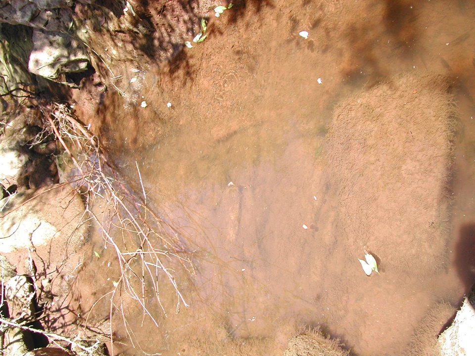 Stotine-komada-riblje-mladji-zarobljene-