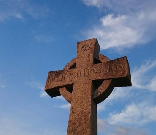 ирски војници