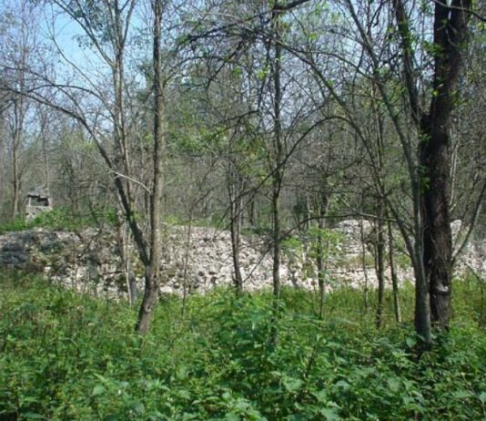 забрањена археологија