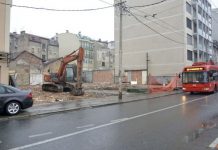 ОТИШЛА У ИСТОРИЈУ: Нема више хлада под „Чубурском липом“ – убрзано НЕСТАЈЕ СТАРИ БЕОГРАД чубурска липа