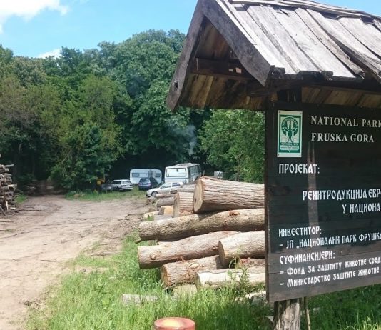 Фрушка гора