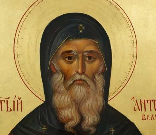 преподобни антоније