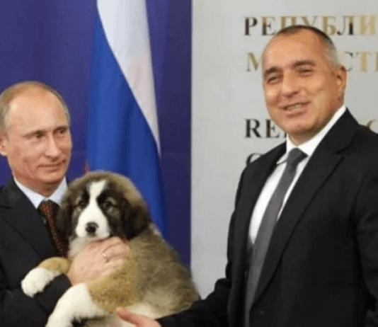 бугарски овчар