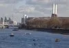 бели кит