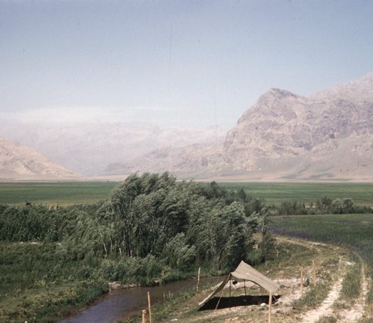 миодраг милановић