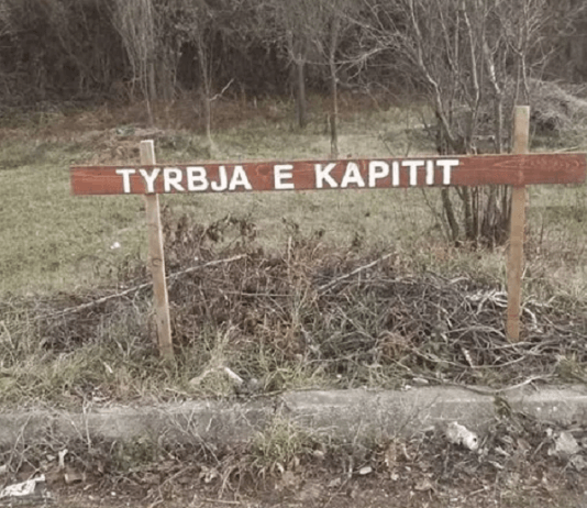 медвеђа