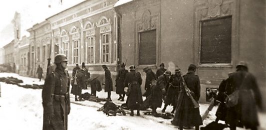 новосадска рација