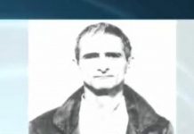 душан мургашки