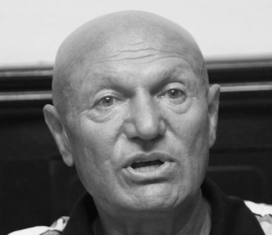 шабан шаулић
