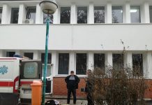 непокретна мајка