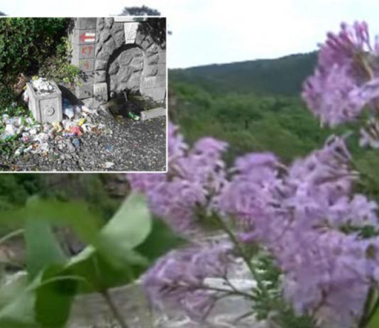 прича о долини јоргована
