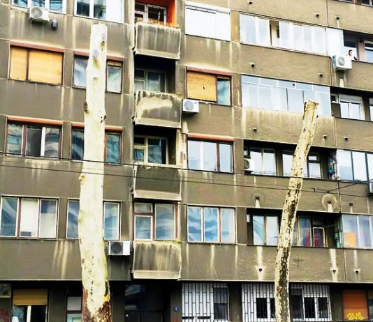 двоструки дрворед