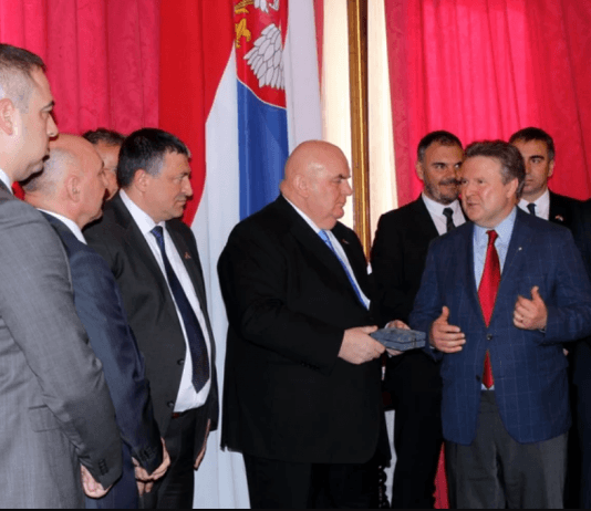 драган марковић палма