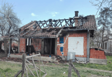 војислав бошковић