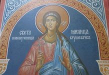 милица костић