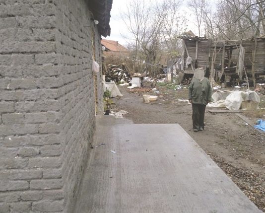 силовања