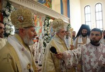 владика игнатије