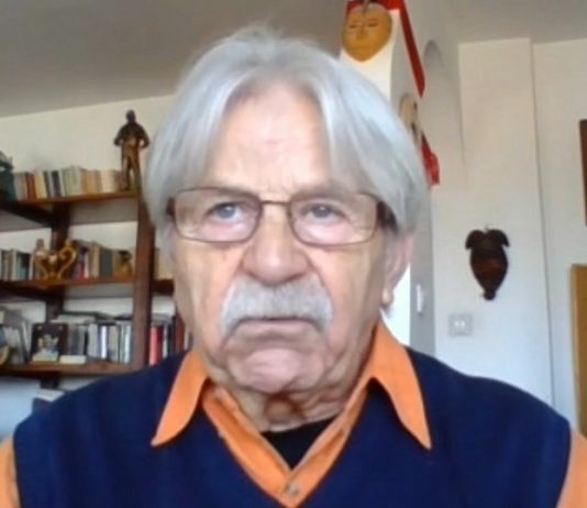 Ршум: Боље да сви узмемо у руке мотику, него го**иву мотку (ВИДЕО) љубивоје ршумовић