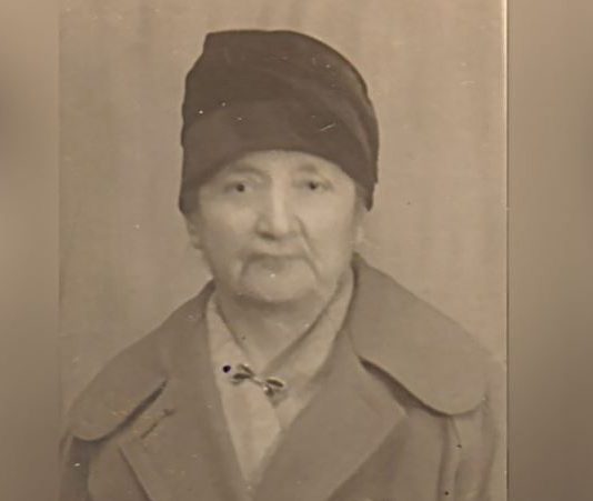 драга митрићевић