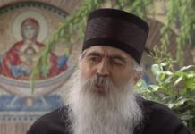епископ бачки иринеј
