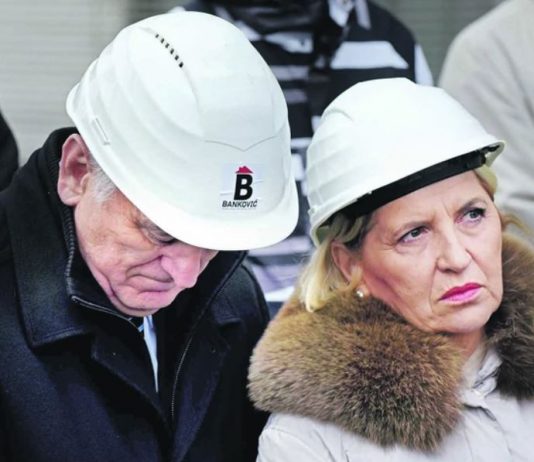 томислав николић