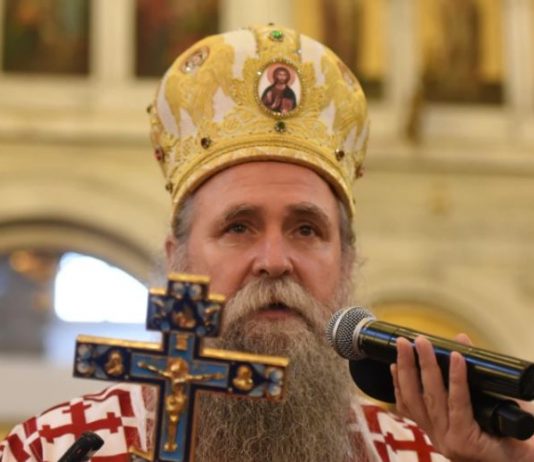 митрополит јоаникије