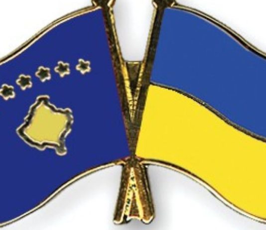 давид штокингер
