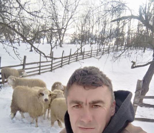 горњи милановац