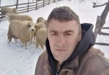 Милан већ годину дана тражи жену, све би да се друже, а ниједна да се скући на селу горњи милановац