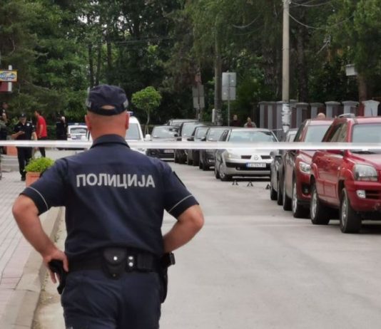 „Залутали метак погодио ју је право у главу, само је пала на сто“: Детаљи трагедије на свадби код Ариља свадбено весеље