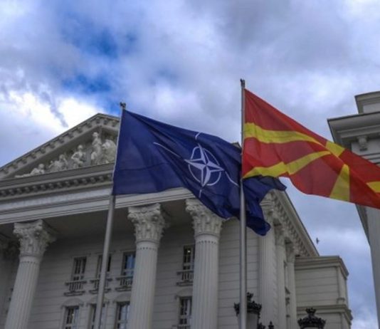 небојша катић