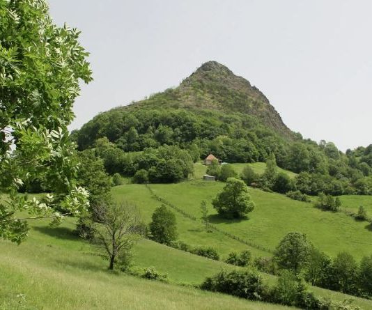 Острвица