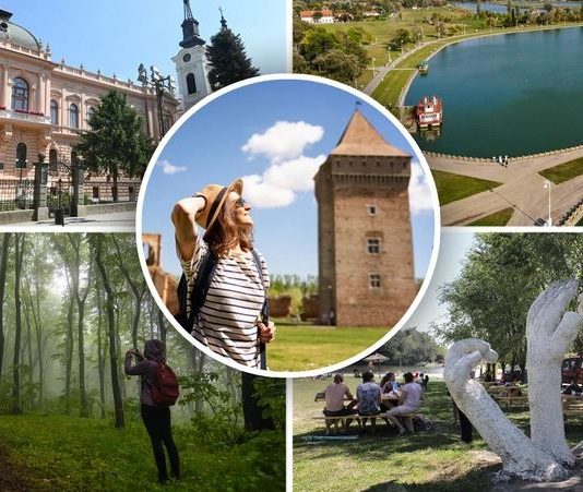 дворци војводине