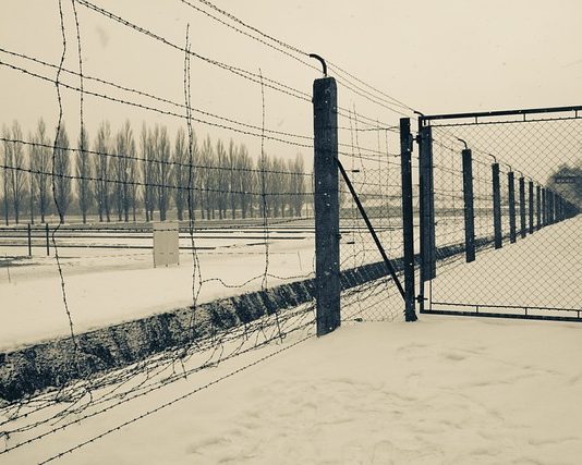 Поражавајуће и трагично незнање Срба о геноциду у НДХ: Возимо ауто-трке и играмо фудбал на српским стратиштима дејан ристић