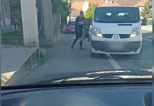 крађа пса