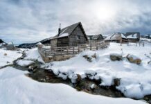 Српска демографска катастрофа: На југу 16 села “угашено” и 16 места са само једним становником демографија