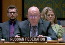 Русија: Србе у Хагу муче, све их хитно ослободити или послати у Србију! русија