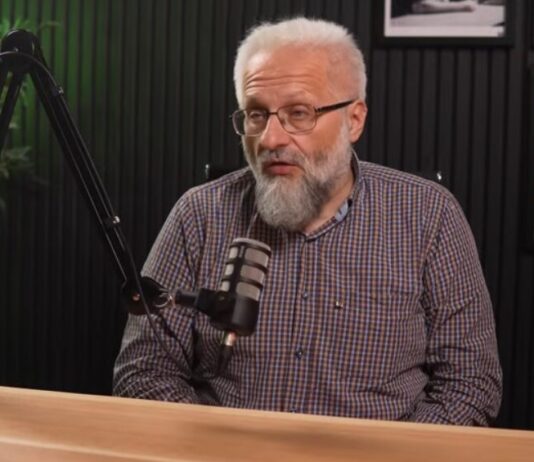 владимир димитријевић