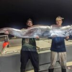 риба весларица