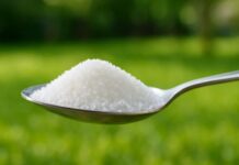 Кашика шећера која чини чуда: Спасите нашу храну и природу! пчеле