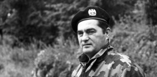 небојша павковић