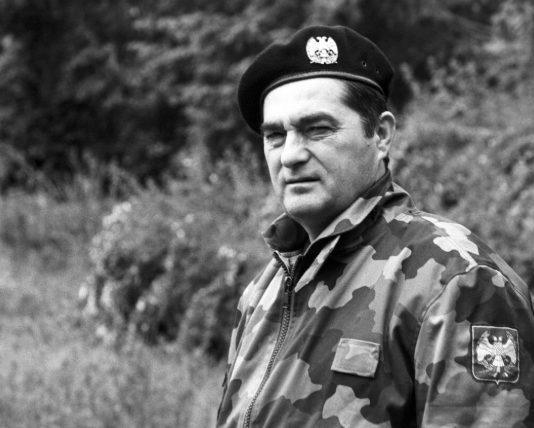 небојша павковић